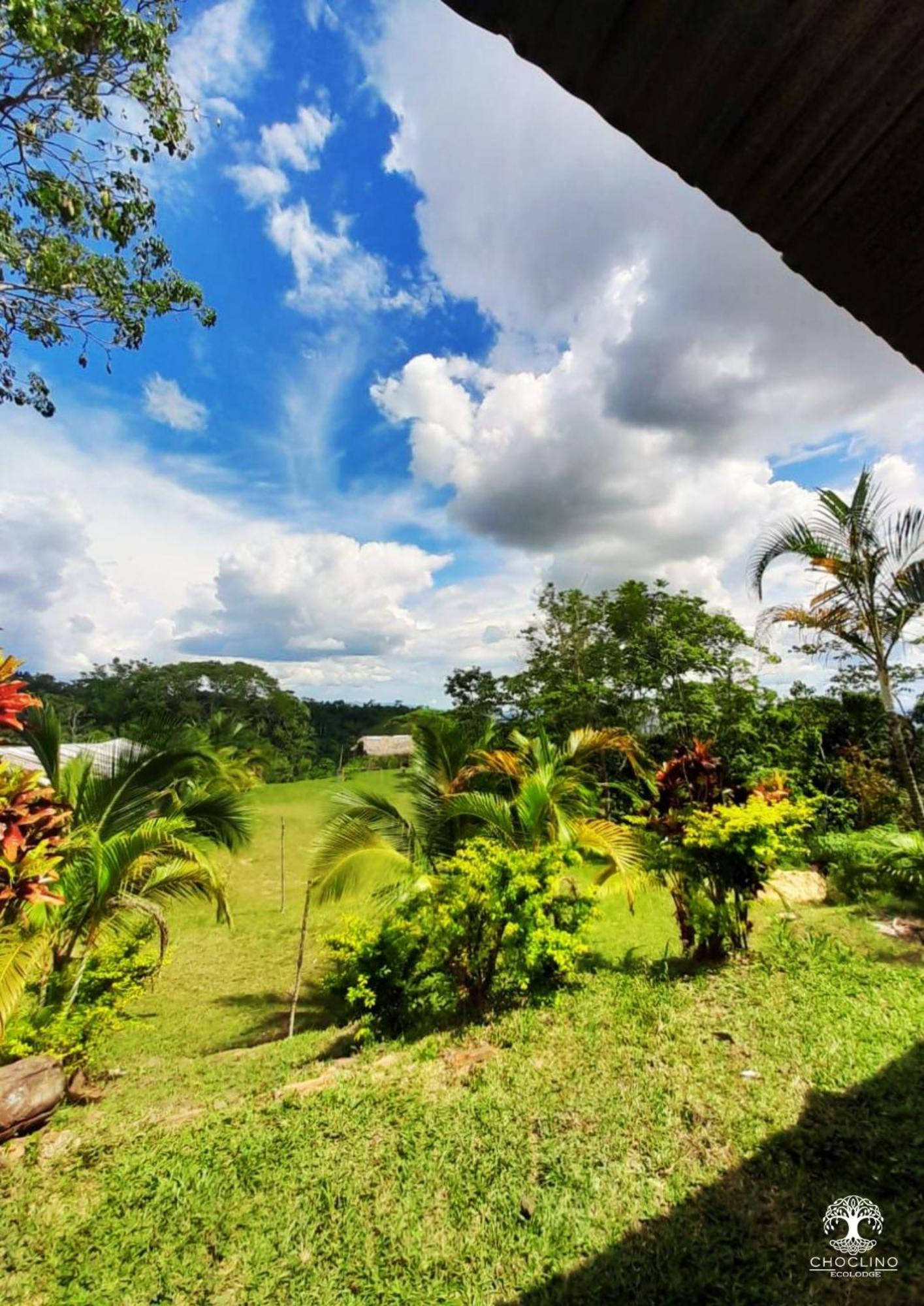 Choclino Ecolodge -Bungalows Tarapoto Exterior foto