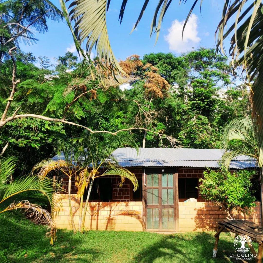 Choclino Ecolodge -Bungalows Tarapoto Exterior foto