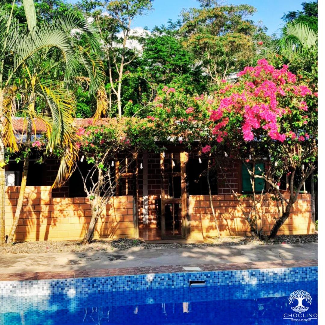 Choclino Ecolodge -Bungalows Tarapoto Exterior foto