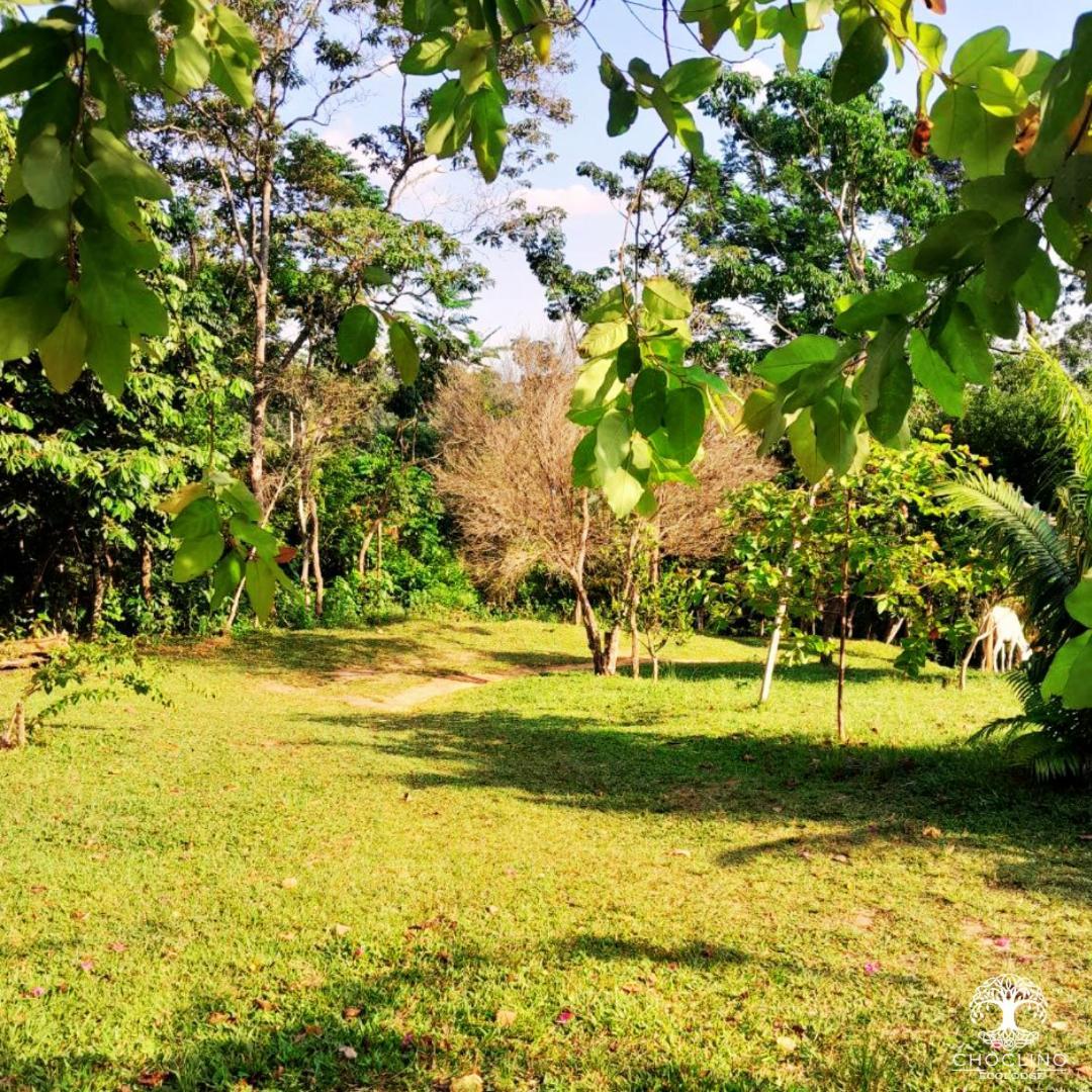 Choclino Ecolodge -Bungalows Tarapoto Exterior foto
