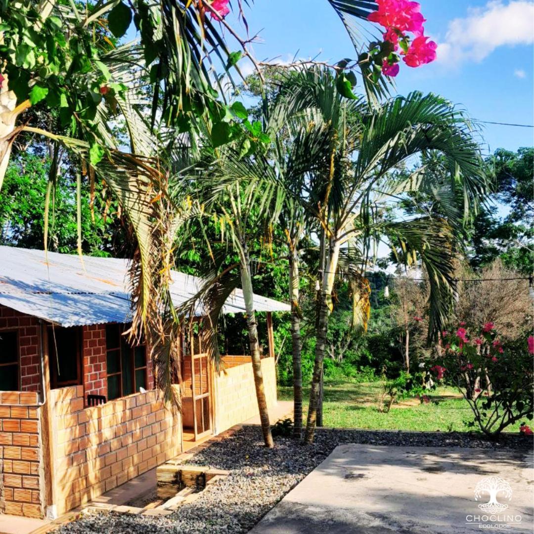 Choclino Ecolodge -Bungalows Tarapoto Exterior foto
