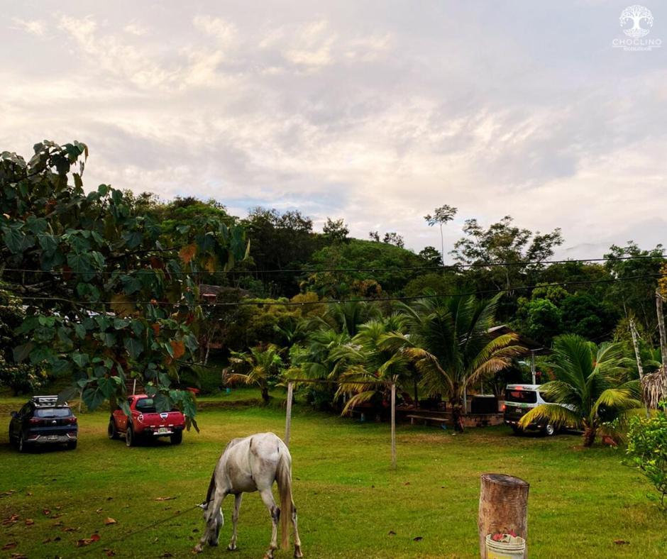 Choclino Ecolodge -Bungalows Tarapoto Exterior foto