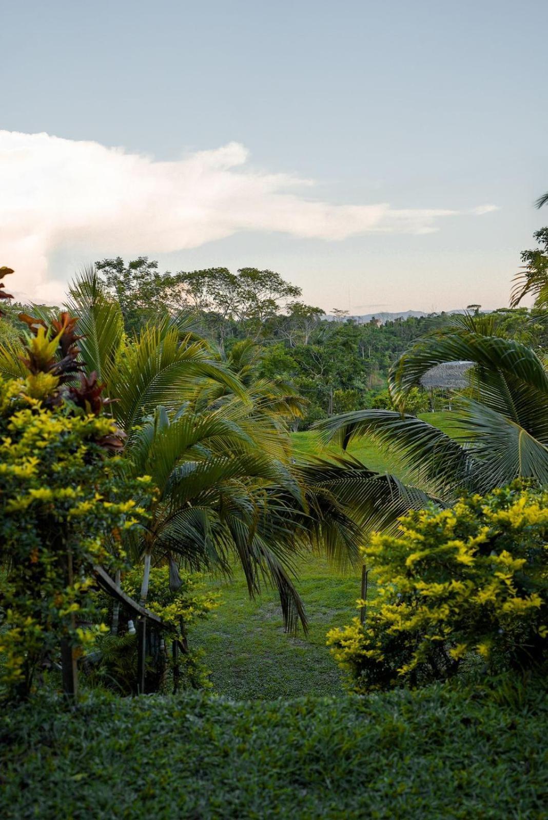 Choclino Ecolodge -Bungalows Tarapoto Exterior foto