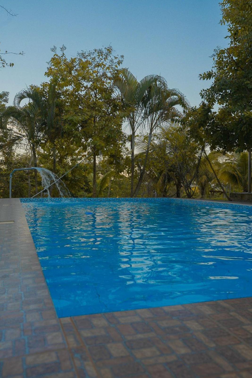Choclino Ecolodge -Bungalows Tarapoto Exterior foto